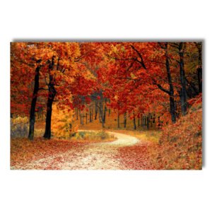 Otoño Dorado