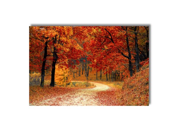 Otoño Dorado